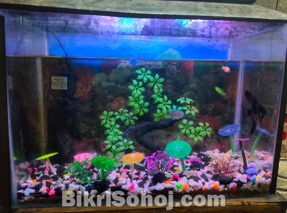 AQUARIUM FOR SALE WITH FISHES,DECORATION AND Power Filter